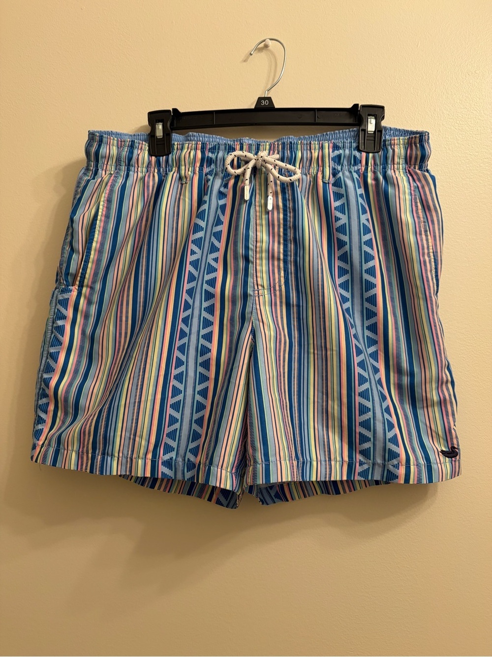 Southern Marsh Blue Multistripe Swim Trunks